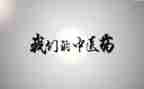 市中医工作总结5篇