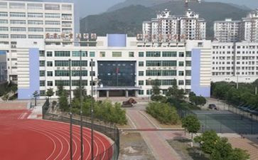 教师中专工作总结8篇