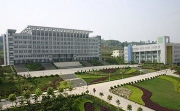 中专生月总结6篇