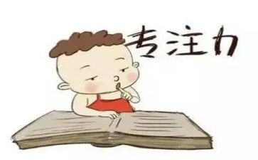 专注力的心得6篇