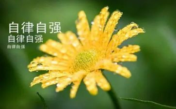 自立自强好少年演讲稿8篇