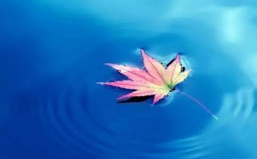 我爱自然的作文7篇