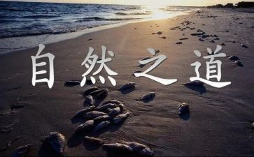 《自然之道》教学反思7篇