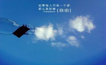 幼儿园自由日活动方案7篇