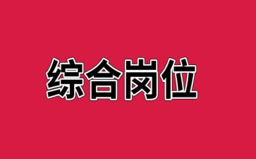 综合岗明年工作计划8篇