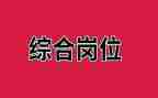 综合岗明年工作计划8篇