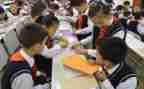 八上综合实践教学计划优秀7篇